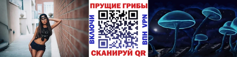 Галлюциногенные грибы прущие грибы  сколько стоит  Навашино 